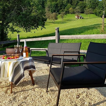 Business Apartment Schwarzach 外观 照片