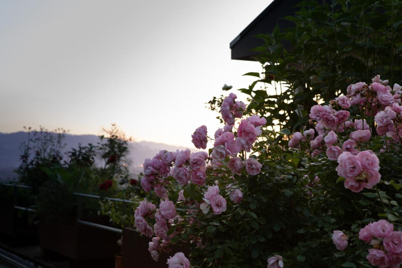 Business Apartment Schwarzach 外观 照片